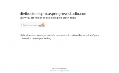 https://divibusinesspro.aspengrovestudio.com/ screenshot