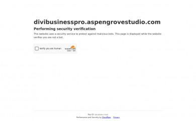 Divi Business Pro screenshot