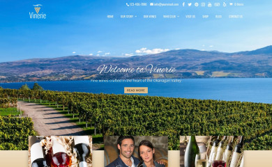 Vinerie DD screenshot