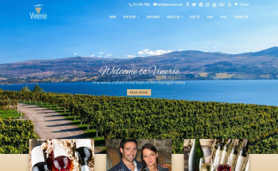 Vinerie DD screenshot