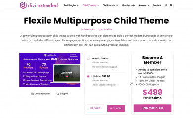 https://diviextended.com/products/flexile/ screenshot