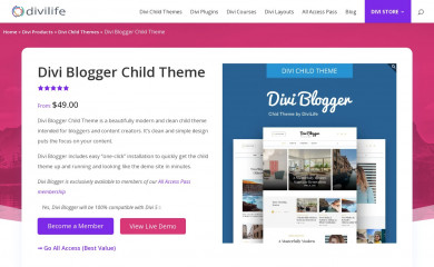 Divi Blogger Child Theme screenshot