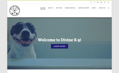 divinek-9.com screenshot
