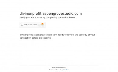 https://divinonprofit.aspengrovestudio.com/ screenshot
