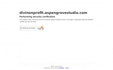 https://divinonprofit.aspengrovestudio.com/ screenshot
