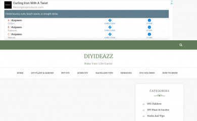 diyideazz.com screenshot