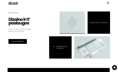 dizit.lt screenshot