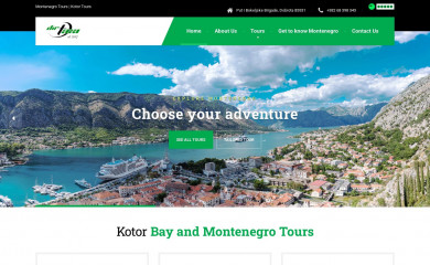 djirtours.com screenshot