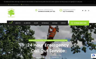 dlcorrantreesurgeons.co.uk screenshot