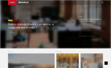 dlaszefa.pl screenshot