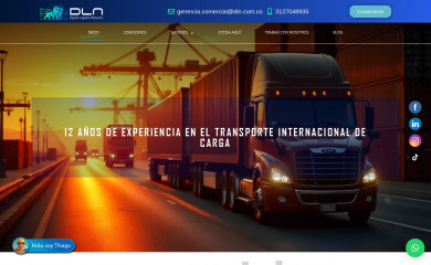 dln.com.co screenshot