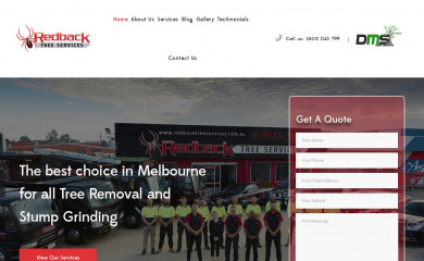 dmstreeremoval.com.au screenshot