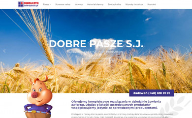 dobrepasze.pl screenshot
