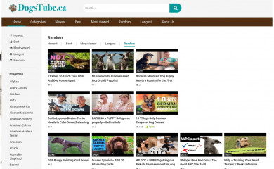 dogstube.ca screenshot