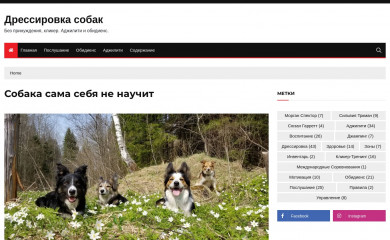 dogschool.ru screenshot
