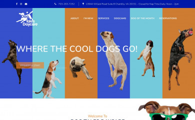 dogtalesdaycare.com screenshot