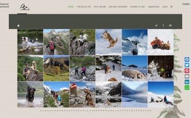 dogwalktraillifeisgood.com screenshot