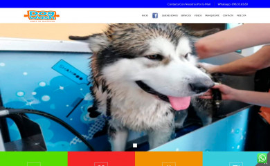 dogwashcoruña.es screenshot