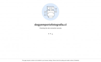 dogyemporiofotografia.cl screenshot