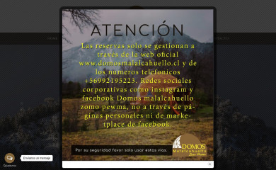 domosmalalcahuello.cl screenshot