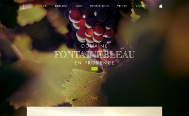 domaine-fontainebleau-en-provence.com screenshot