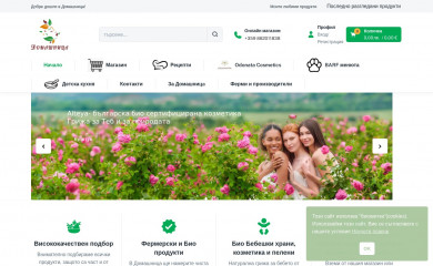 domashnica.com screenshot