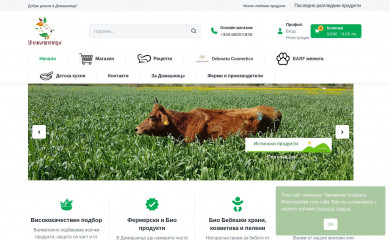 domashnica.com screenshot