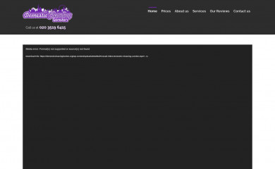 domesticcleaninglondon.org screenshot
