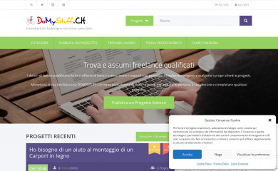 domystuff.ch screenshot