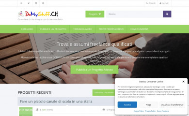 domystuff.ch screenshot