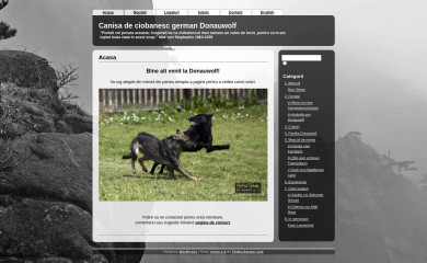 donauwolf.ro screenshot
