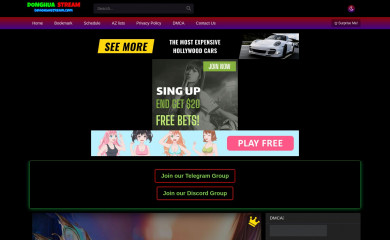 donghuastream.org screenshot