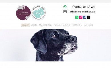 dorsetsomersetvetphysio.co.uk screenshot