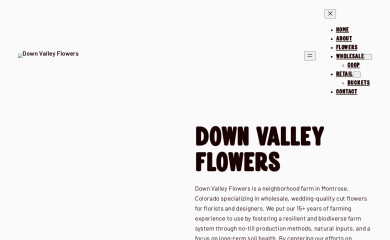 downvalleyflowers.com screenshot