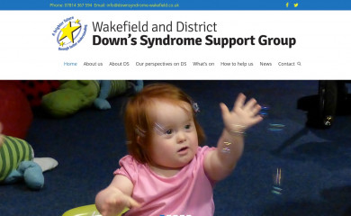 downsyndrome-wakefield.net screenshot