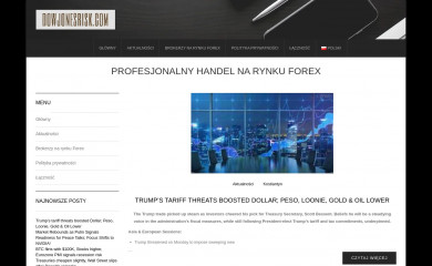 dowjonesrisk.com screenshot
