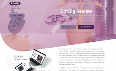 dotbig-reviews.top screenshot