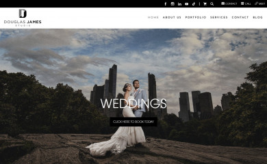 douglasjamesstudio.com screenshot