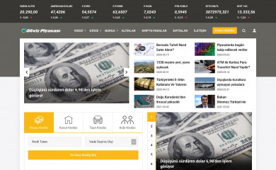 dovizpiyasasi.net screenshot