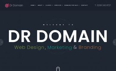 drdomain.co.uk screenshot