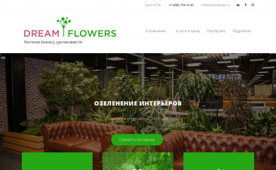 dreamflowers.ru screenshot