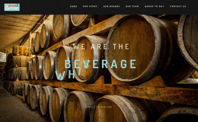 drink2success.com screenshot