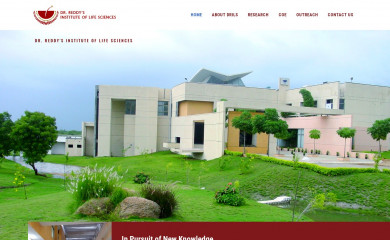 drils.org screenshot