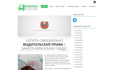 drivelicensn.com screenshot
