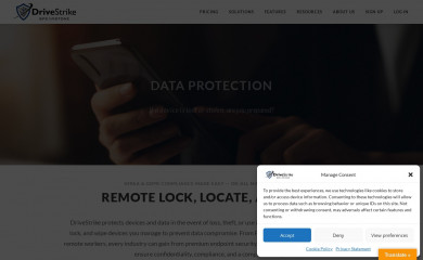 drivestrike.com screenshot