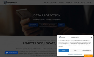drivestrike.com screenshot