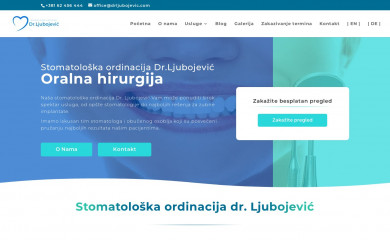 drljubojevic.com screenshot
