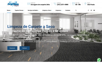 drycleancarpete.com.br screenshot