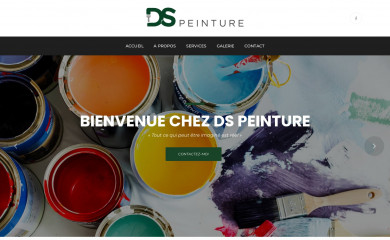 ds-peinture.ch screenshot