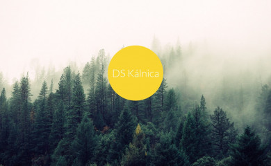 dskalnica.sk screenshot